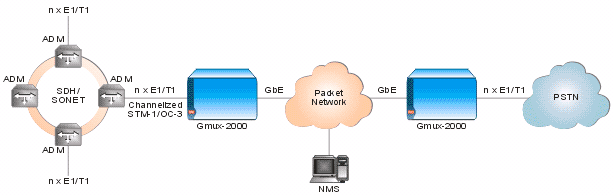 Gmux-2000: Central Office TDMoIP and Voice Trunking Gateway