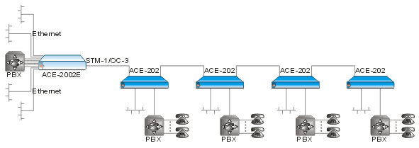 ACE-202: Dedicated Multiservice Access Concentrator