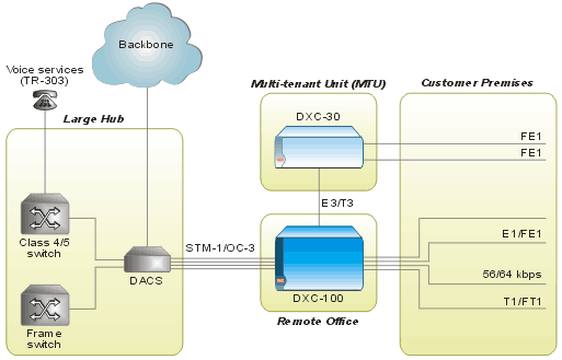 DXC-100: Multiservice Access Node