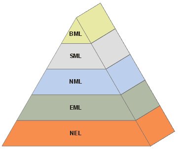 Network Management Layers