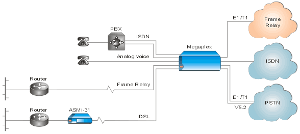 Multiservice Access Platform