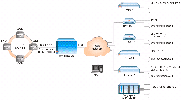 Gmux-2000:Central Office TDMoIP and Voice Trunking Gateway